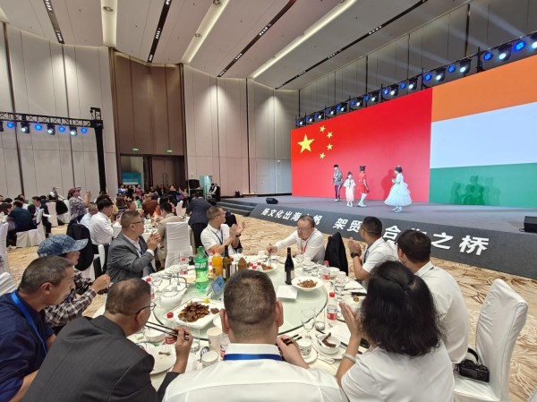 传统文化艺术中医科技架通金砖国家“连心桥”