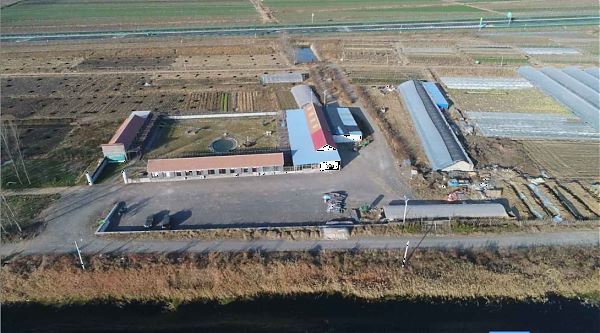 青岛莱西市姜山镇李家泊村委会违法征地_恶意欺压百姓等违法乱纪遭实名举报 青岛莱西市姜山镇李家泊村委会违法征地_恶意欺压百姓等违法乱纪遭实名举报