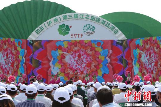 四川泸州举行“江之阳”蔬菜品赏会_打造优秀农业品牌