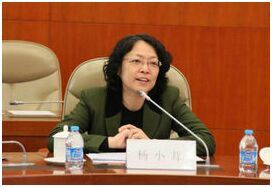 杨小茸出任中国驻马达加斯加大使