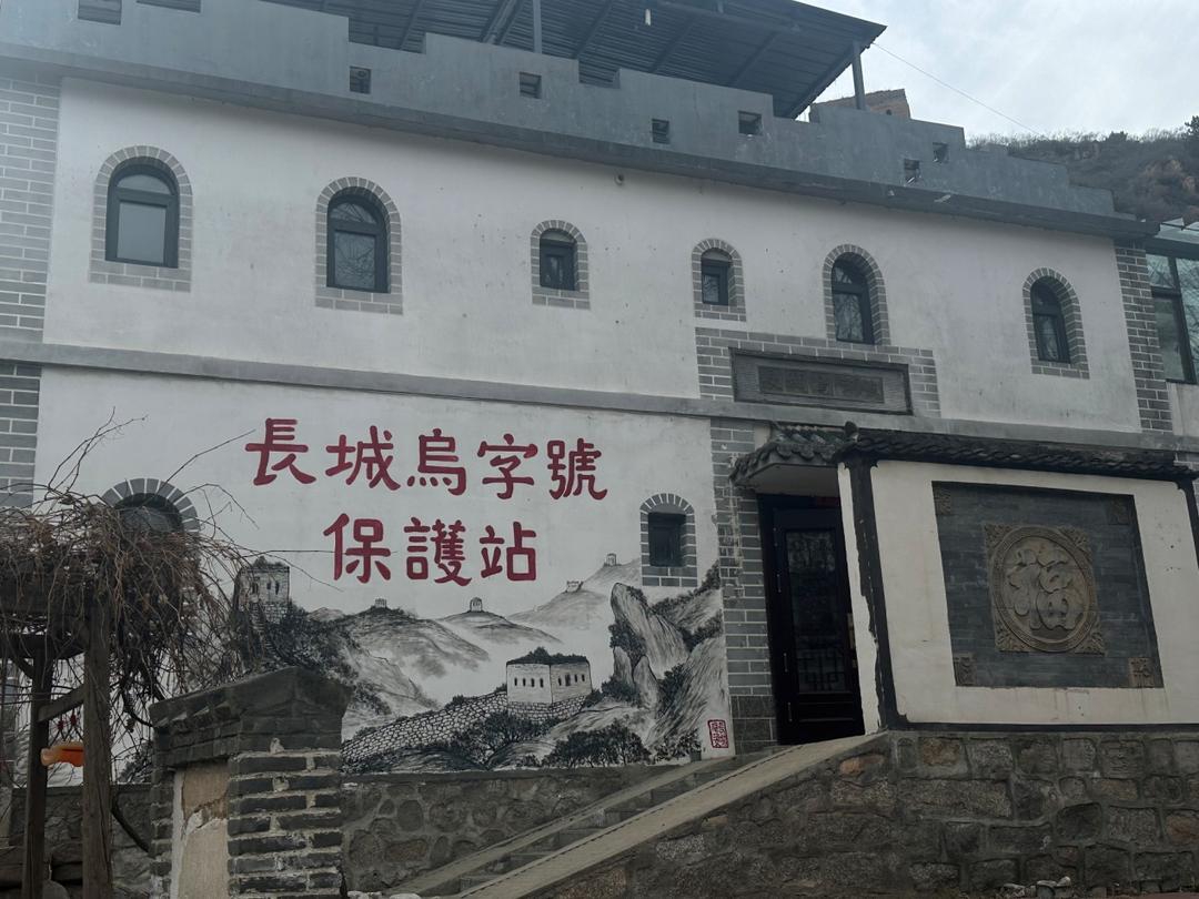 11月15日拍摄的“长城乌字号保护站”。 王子怡 摄.jpeg